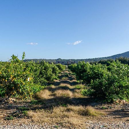 El Limonar De Mallorca - Agroturismo Ballerics エクステリア 写真
